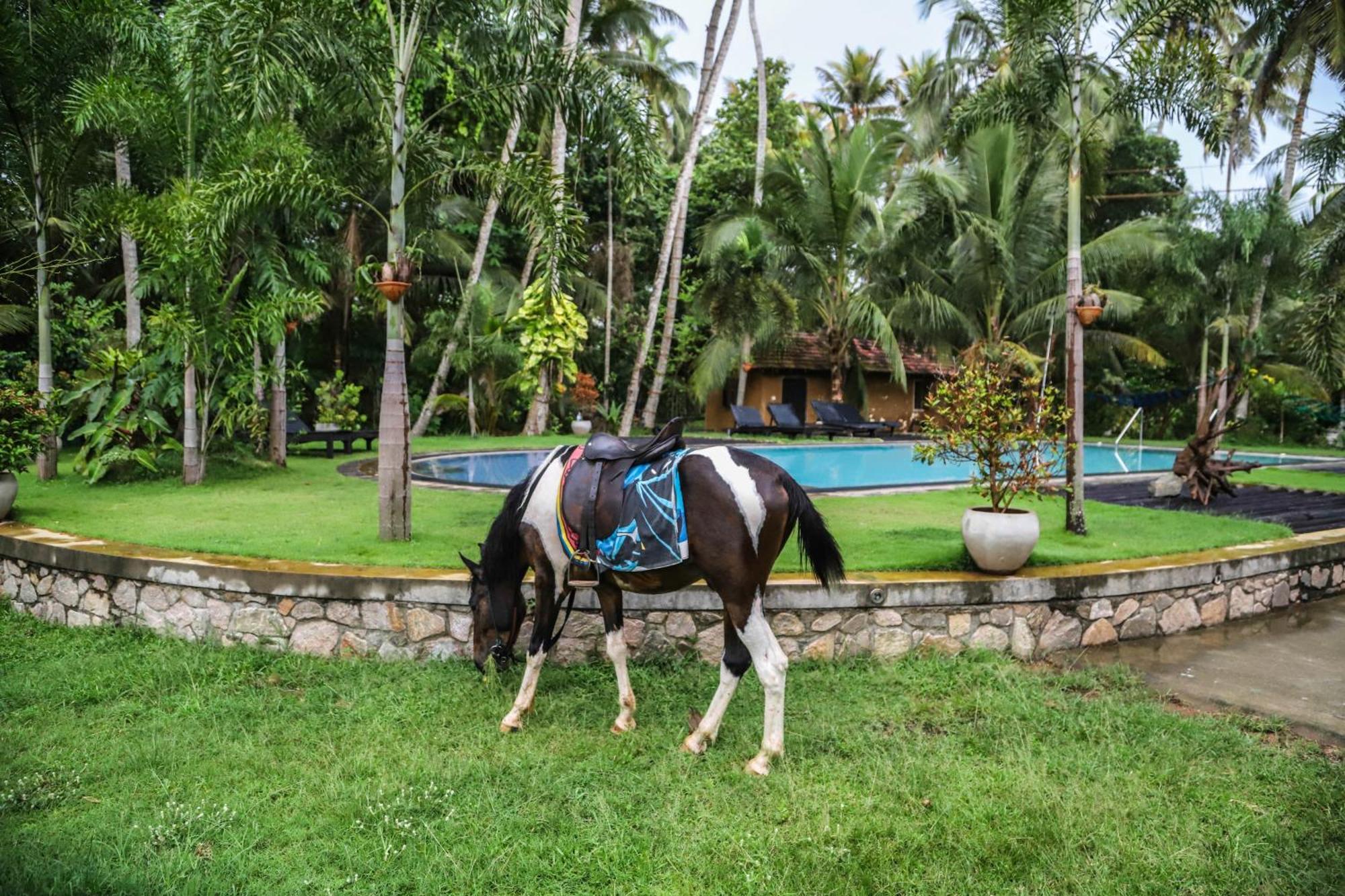 Hotel Riverrina Negombo Exterior foto